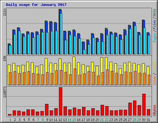 Daily usage for January 2017