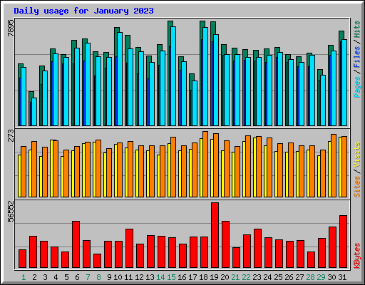 Daily usage for January 2023