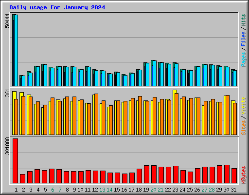 Daily usage for January 2024