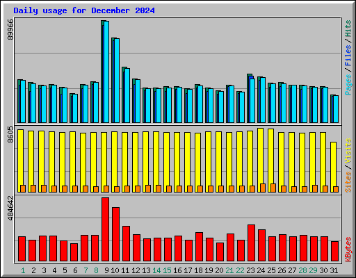 Daily usage for December 2024