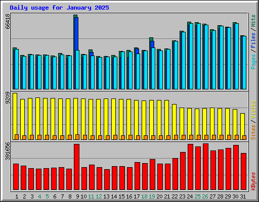 Daily usage for January 2025