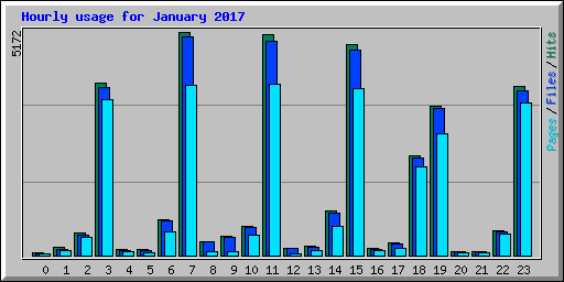 Hourly usage for January 2017