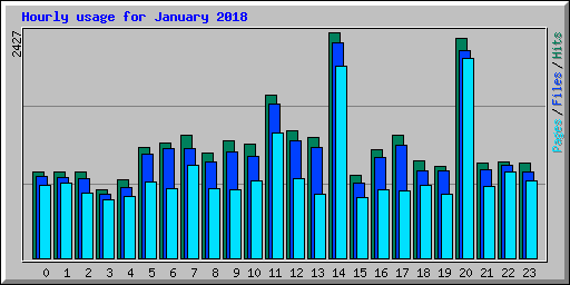 Hourly usage for January 2018