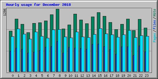 Hourly usage for December 2018