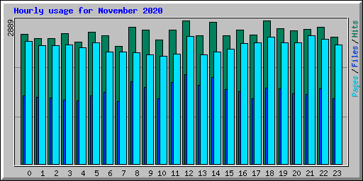 Hourly usage for November 2020