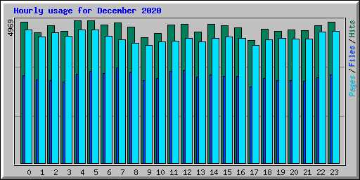 Hourly usage for December 2020