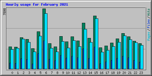 Hourly usage for February 2021