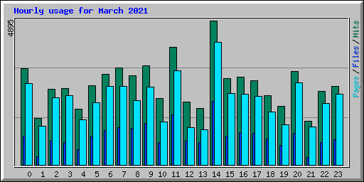 Hourly usage for March 2021