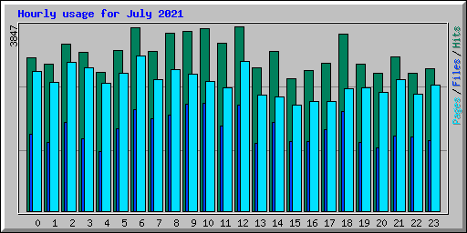 Hourly usage for July 2021