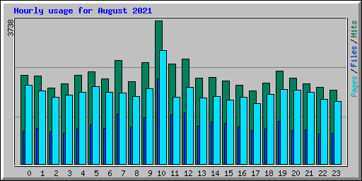 Hourly usage for August 2021