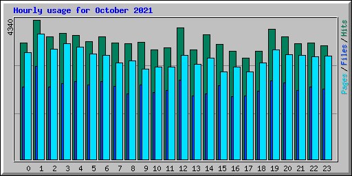 Hourly usage for October 2021