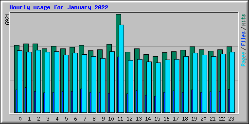 Hourly usage for January 2022