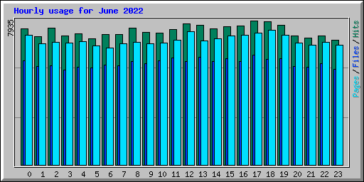 Hourly usage for June 2022