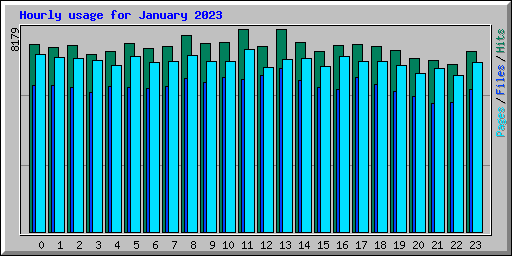 Hourly usage for January 2023