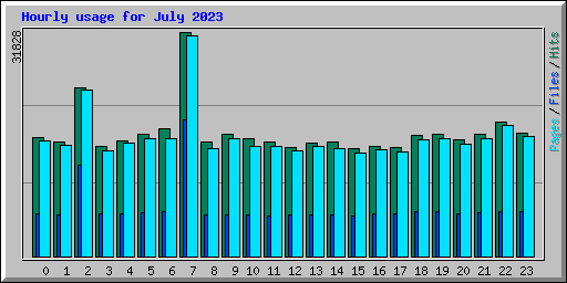 Hourly usage for July 2023