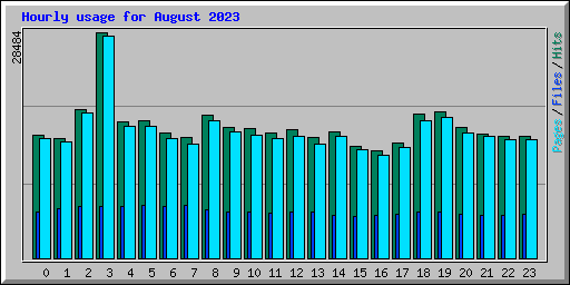 Hourly usage for August 2023