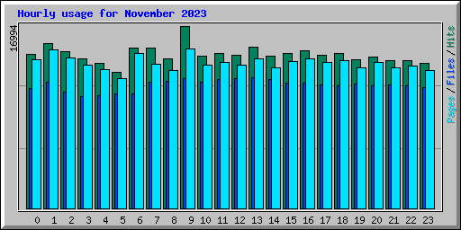 Hourly usage for November 2023
