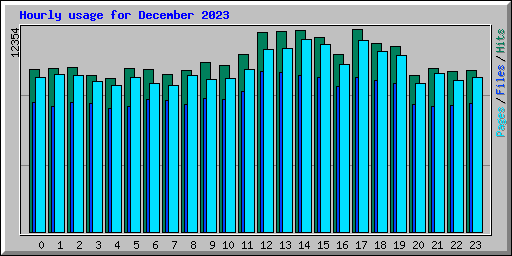 Hourly usage for December 2023