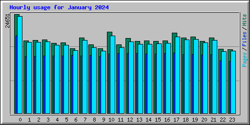 Hourly usage for January 2024