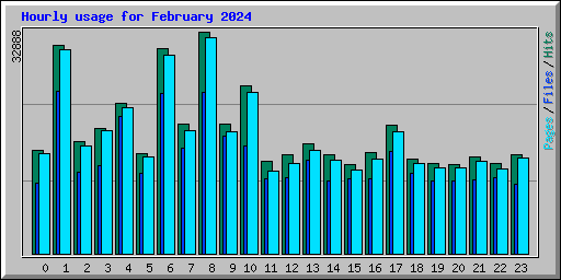 Hourly usage for February 2024
