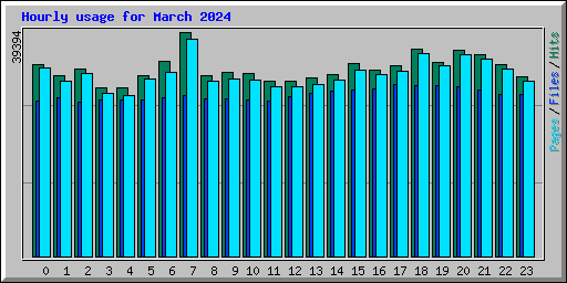 Hourly usage for March 2024