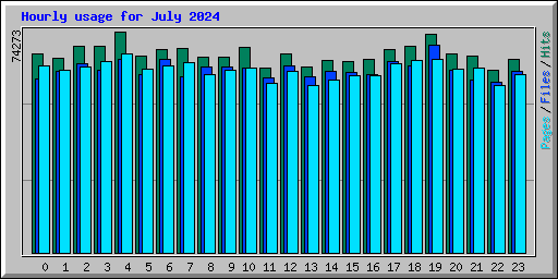 Hourly usage for July 2024