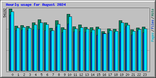 Hourly usage for August 2024