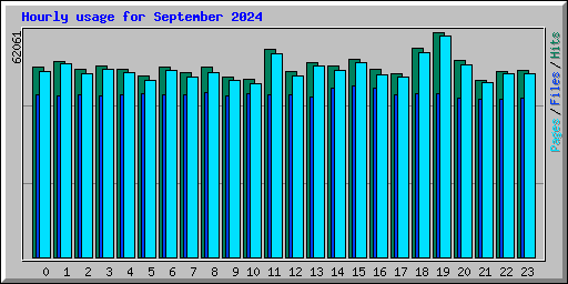 Hourly usage for September 2024