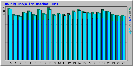 Hourly usage for October 2024