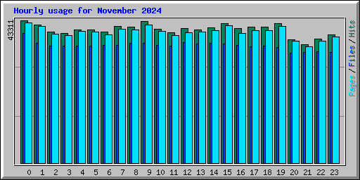 Hourly usage for November 2024