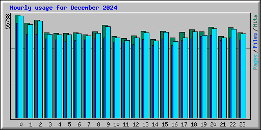 Hourly usage for December 2024