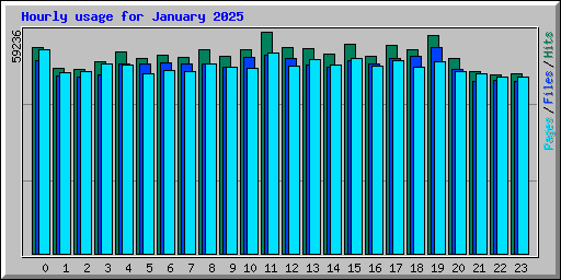 Hourly usage for January 2025