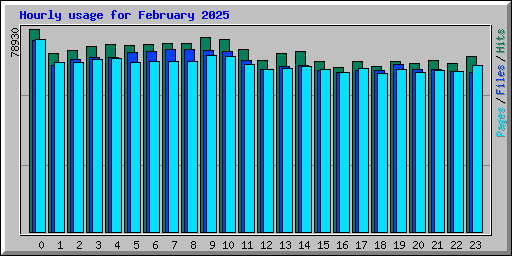 Hourly usage for February 2025