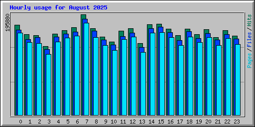 Hourly usage for August 2025